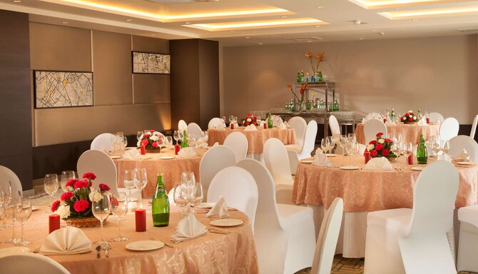 Park Inn by Radisson Bilaspur - Banquet Room