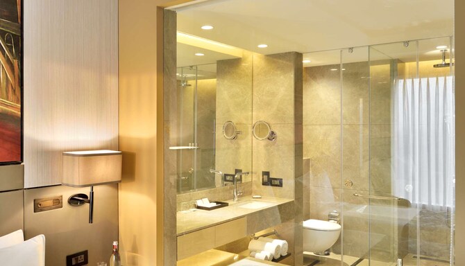 Radisson Blu Faridabad - Guest Room Bath