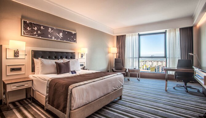 Radisson Blu Hotel, Diyarbakir - Standard Room