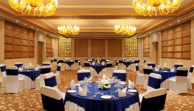 Radisson Blu New Delhi Dwarka - Conference Room