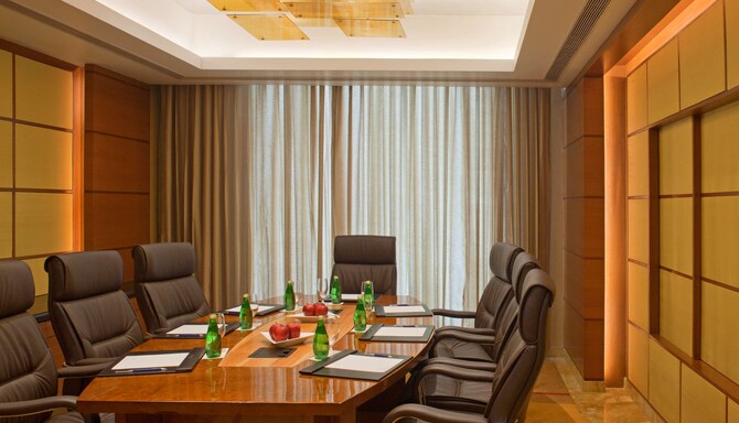 Radisson Blu Plaza Delhi Airport - Business Center