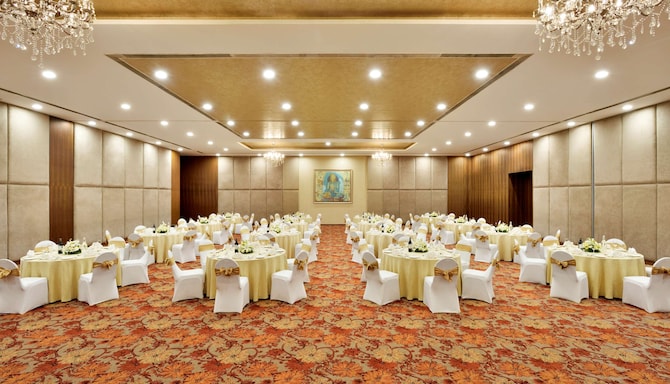 Radisson Blu Plaza Hotel Hyderabad Banjara Hills - Meeting Room