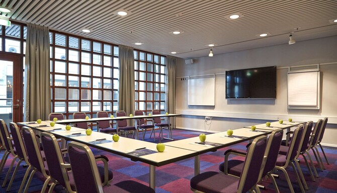 Radisson Blu Scandinavia Hotel, Aarhus - Conference Room