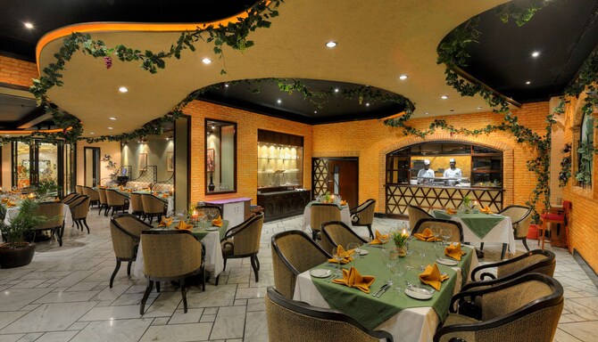 Radisson Hotel Kathmandu - Olive Garden
