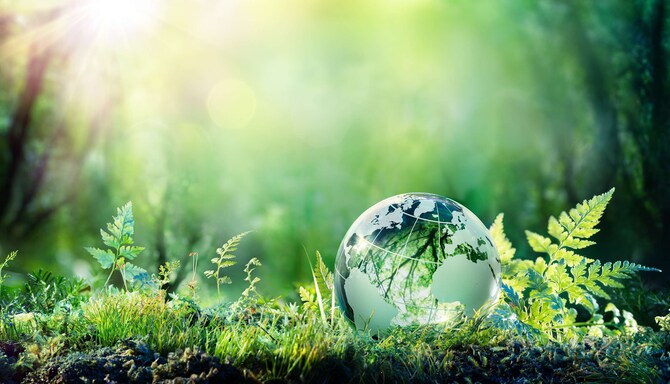 Radisson Meetings - Carbon Neutral A Global Program