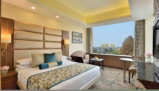 Radisson Srinagar - Business Class Room