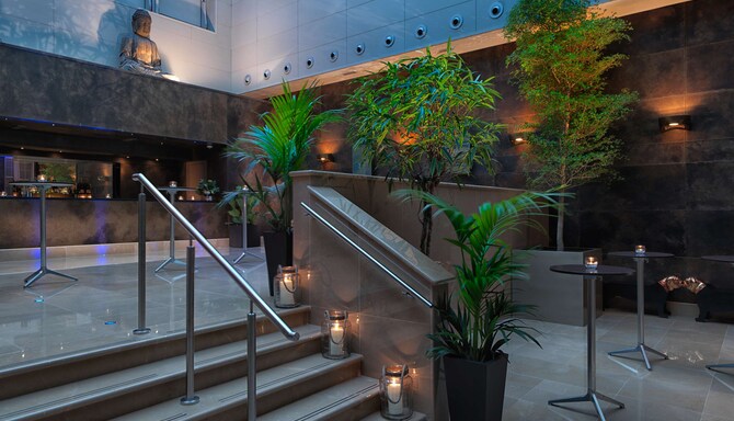 The May Fair London, A Radisson Collection Hotel - MAY CON ATRIUM P