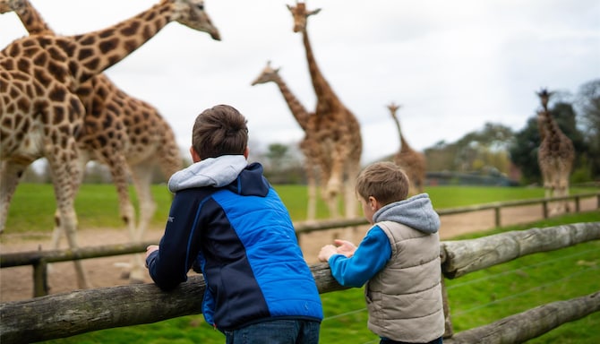 Activation Content B2C - VOL.001 - Activation_Content_B2C-Destination_Explorer_Mindset_FamilyandFun_Memorable_Moments_Outdoor_Lifestyle_Rad_Family-Radisson_Blu-Homepage_Banner_Web_SoMe_Other_Display_eFooter_Web_Module_Other-Image_Website_card-3000x3000-EN-UKI-General