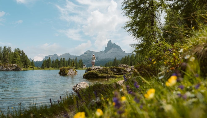 Escape to nature