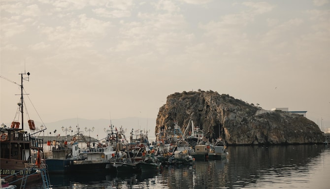 Activation Content B2C - VOL.001 - Activation_Content_B2C-Radisson_Blu-Web_Module-Other-EN-MEAT-General