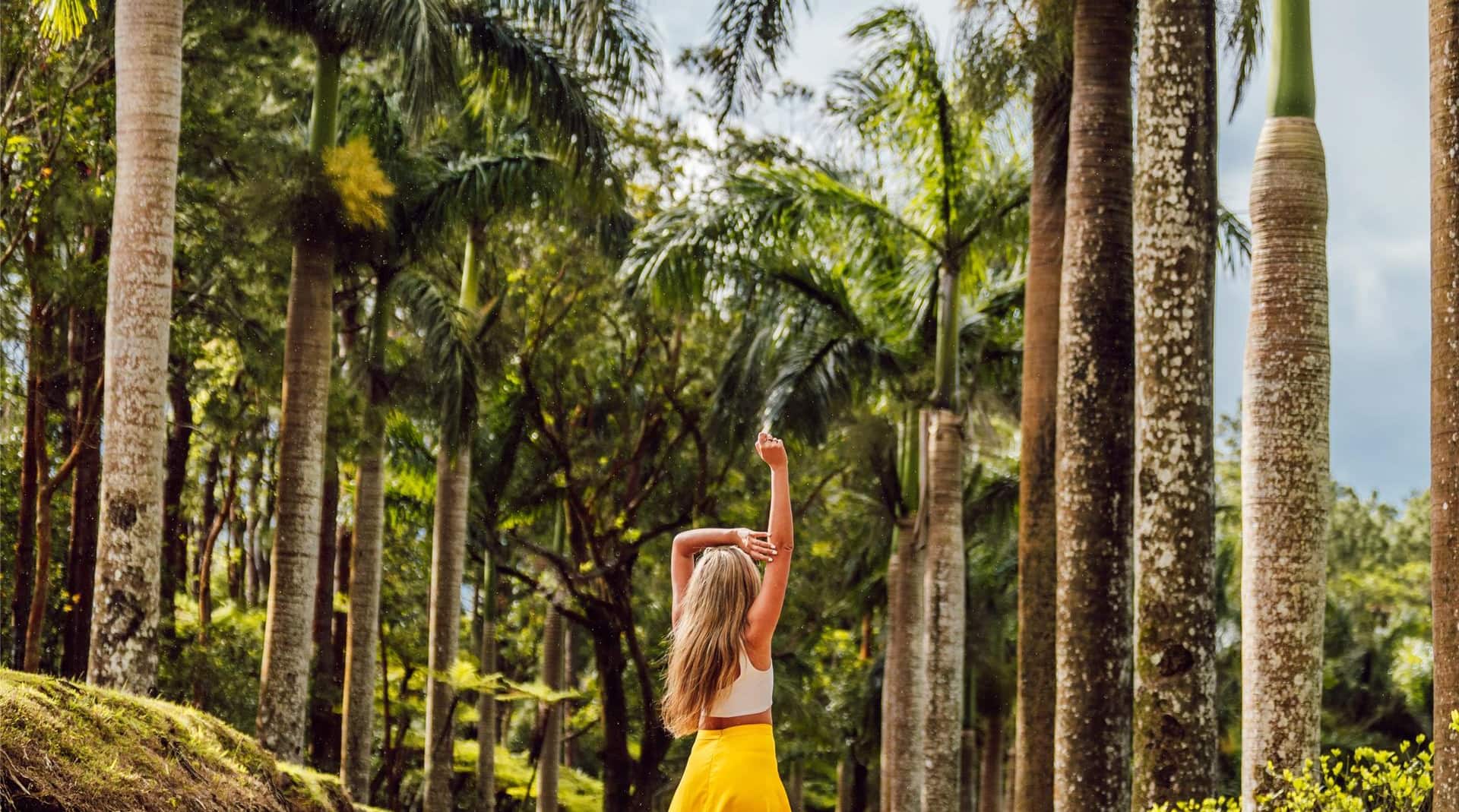 Activation Content B2C - VOL.003 - Activation_Content_B2C-Radisson_Blu-Web_Module-Other-EN-MEAT-General