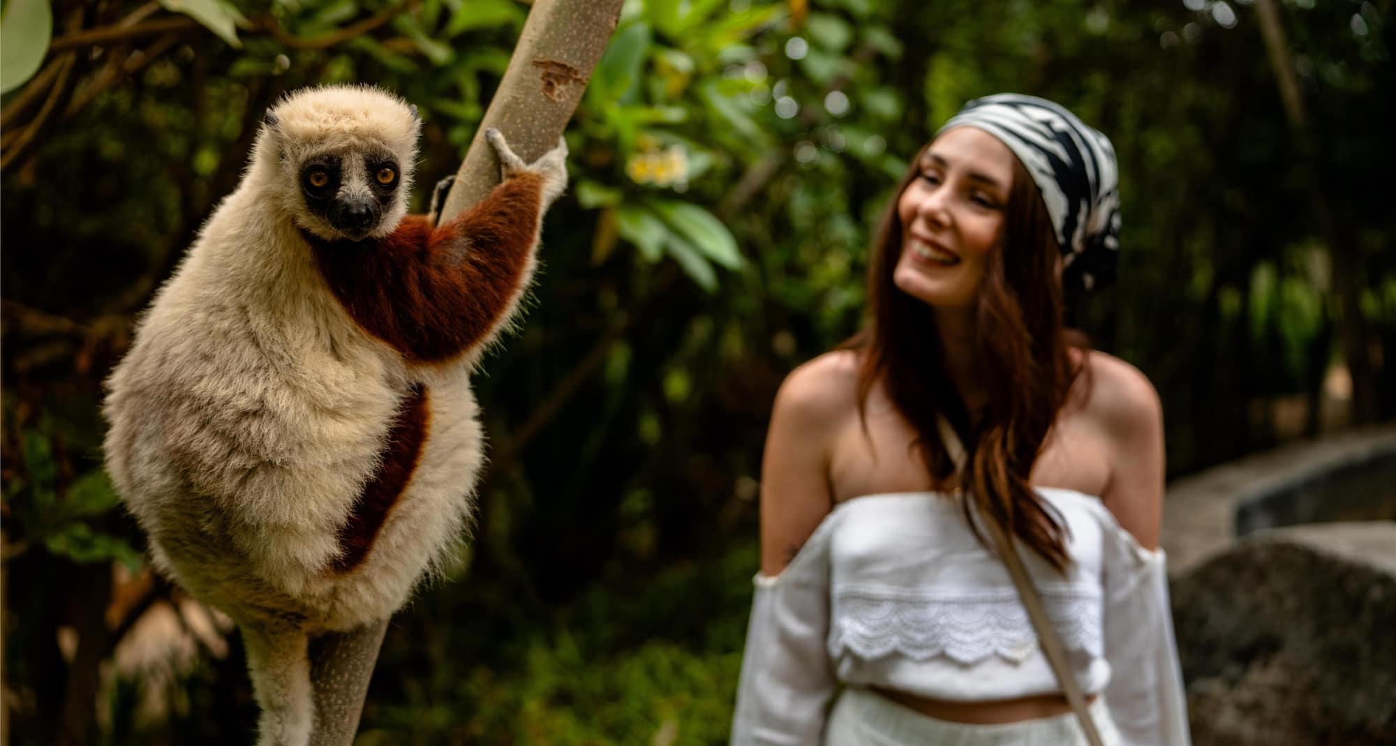 Radisson Blu Hotel, Antananarivo Waterfront - Discover the wildlife