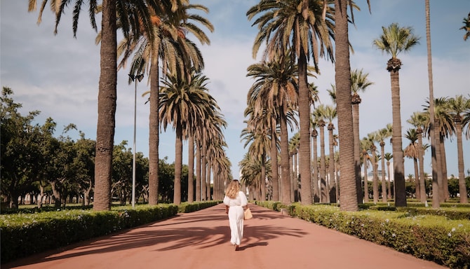 Activation Content B2C - VOL.004 - Activation_Content_B2C-Radisson-Web_Module-Other-EN-MEAT-General