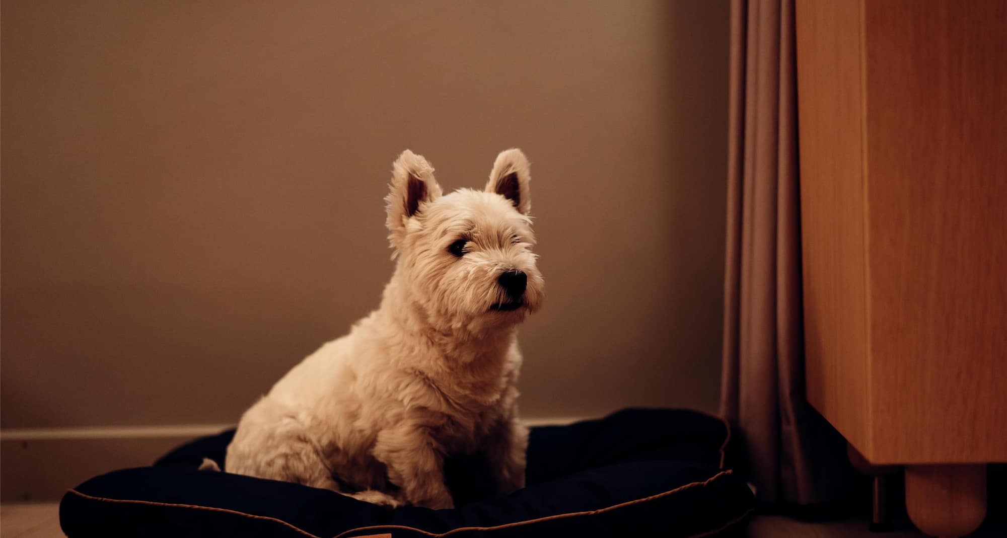 Activation Content B2C - VOL.004 - Activation_Content_B2C-AdventureandSports_Explorer_Mindset_Super_Breakfast_Sports_Approved_Rad_Pets_Pets-Radisson_Blu-UGC_SoMe-Carousel_Image_Influencer_Slideshow_UGC-1x1-NO-Global_NOBLX-Couples