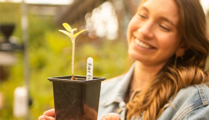 Discover sustainable stays in Manchester