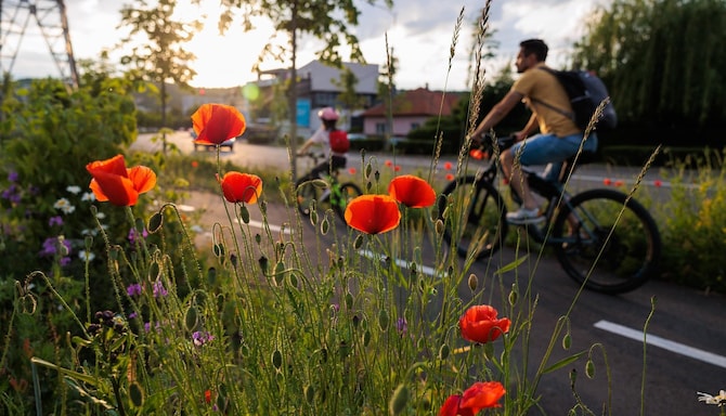 Exploring the city on a bike