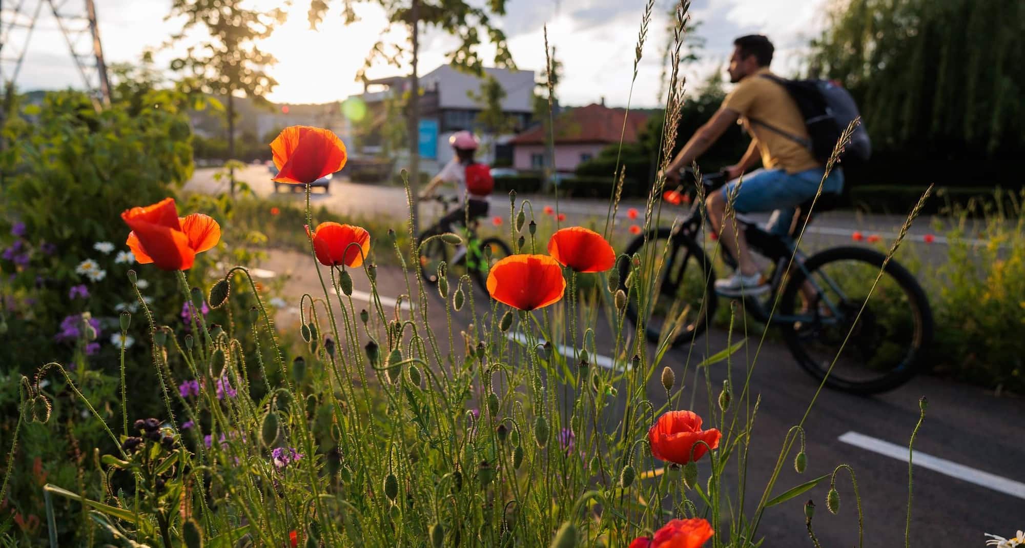 Exploring the city on a bike