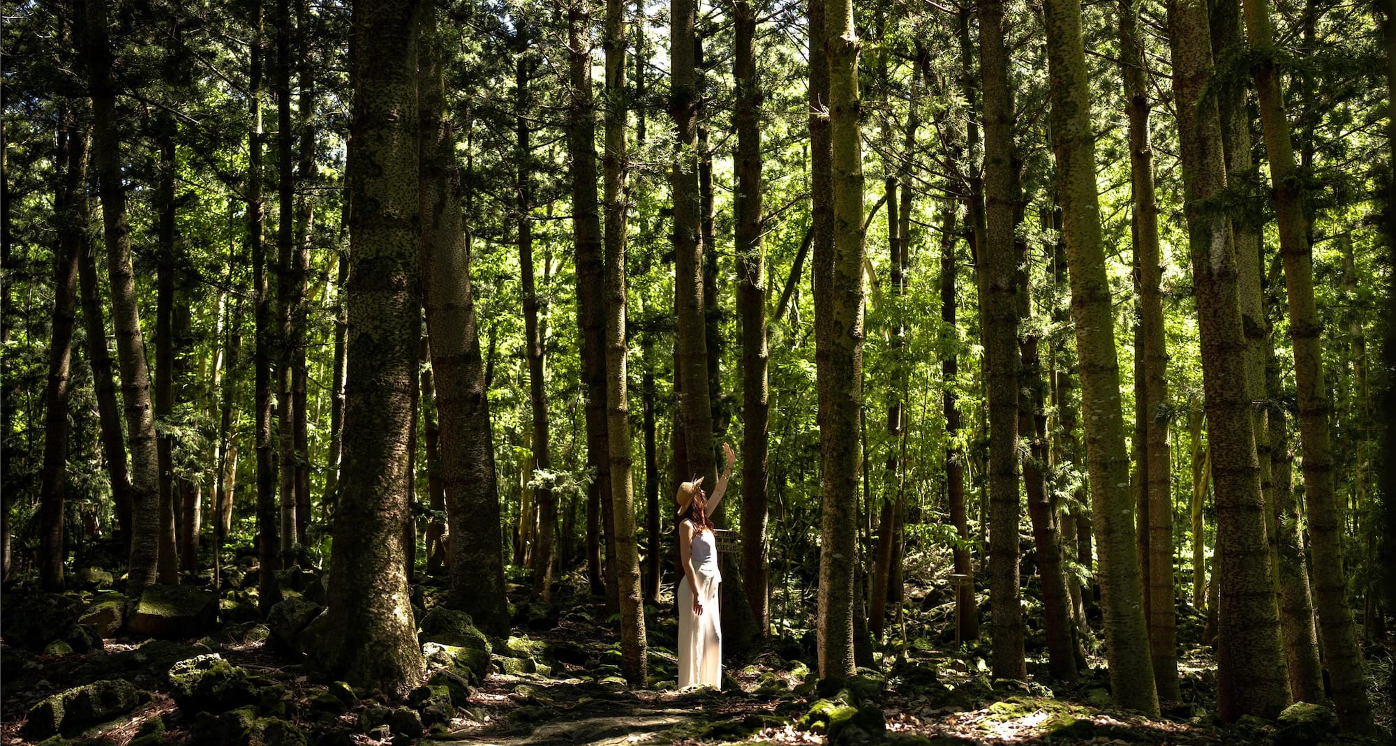 Activation Content B2C - VOL.007 - Activation_Content_B2C-Radisson_Individuals-Web_Module-Other-EN-MEAT-General