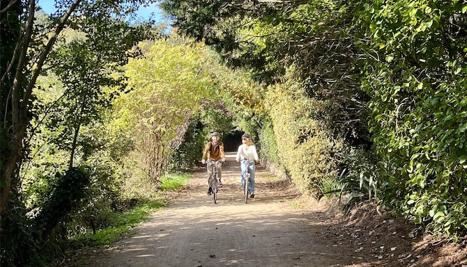 Cycling through Jersey