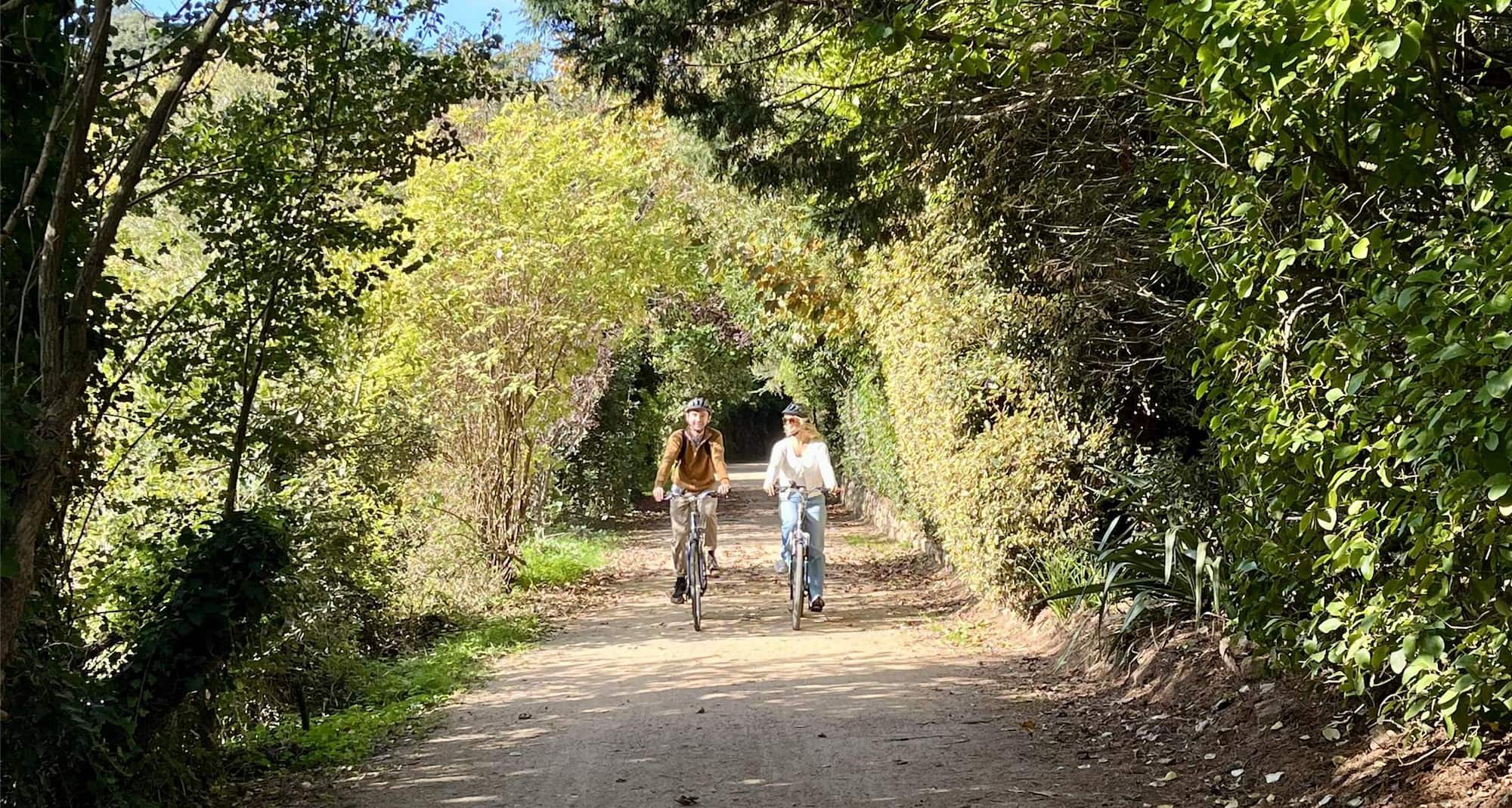 Cycling through Jersey