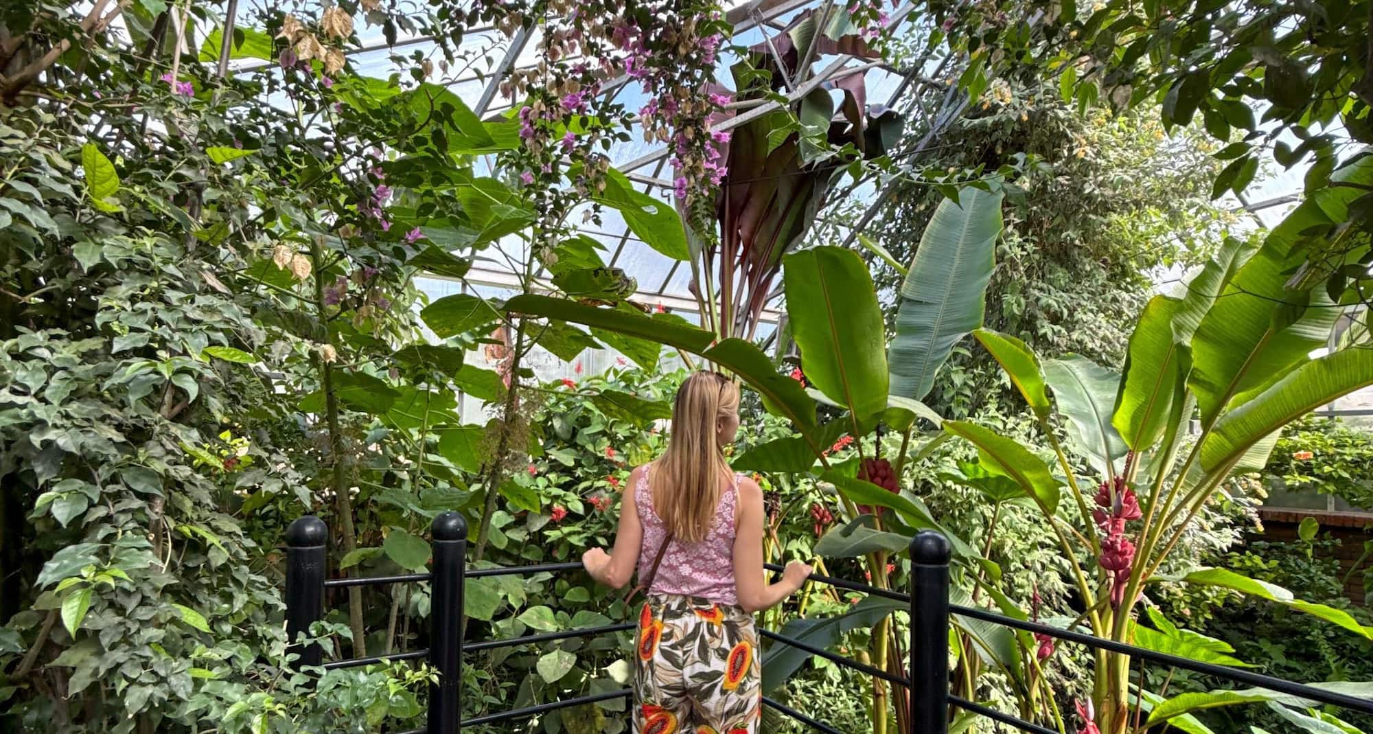 Activation Content B2C - VOL.010 - Activation_Content_B2C-Radisson_Blu-Web_Module_Homepage_Banner_Web-16x9-EN-UKI-Leisure