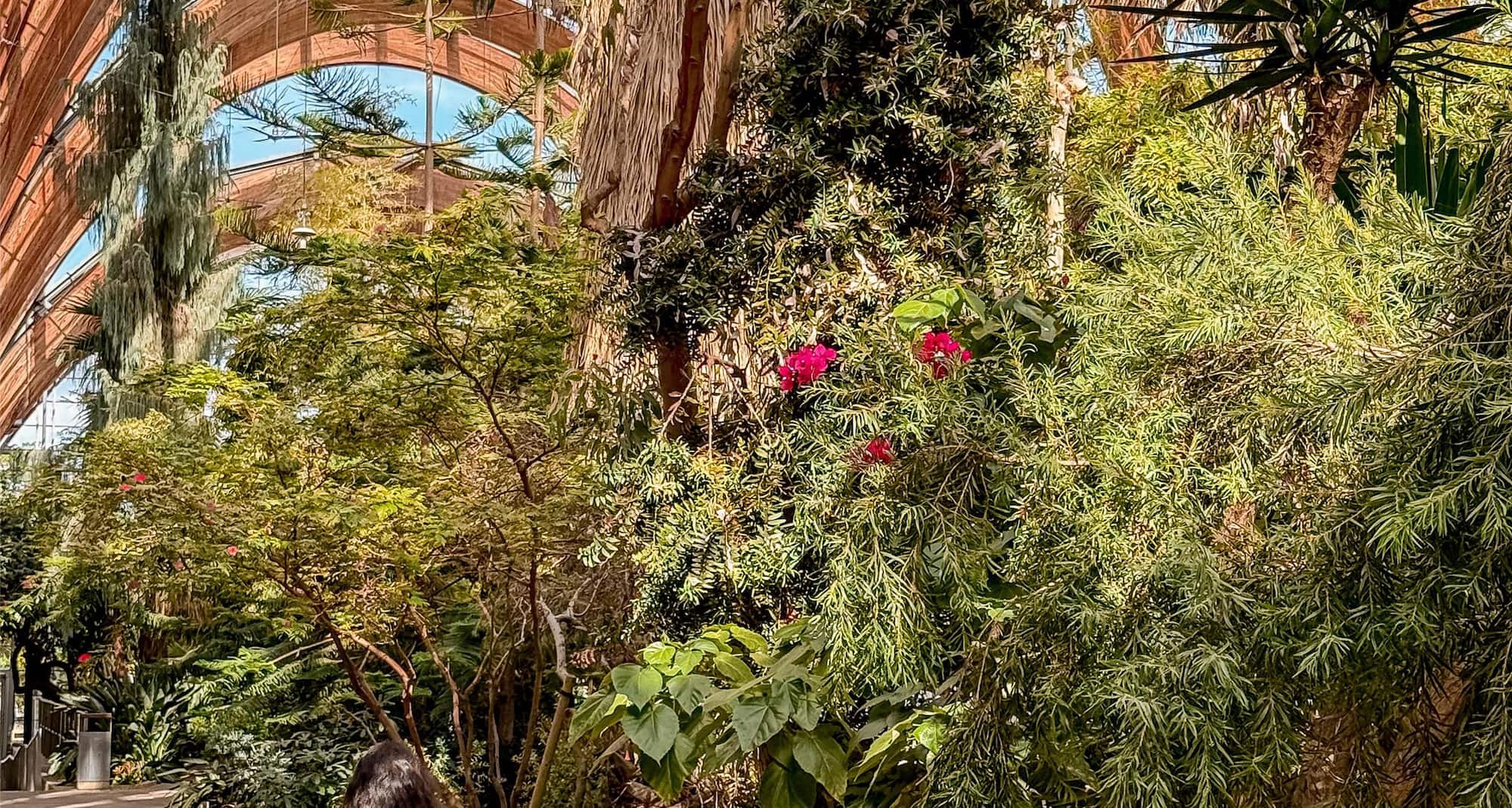 Activation Content B2C - VOL.010 - Activation_Content_B2C-Radisson_Blu-Web_Module_Homepage_Banner_Web-16x9-EN-UKI-Leisure