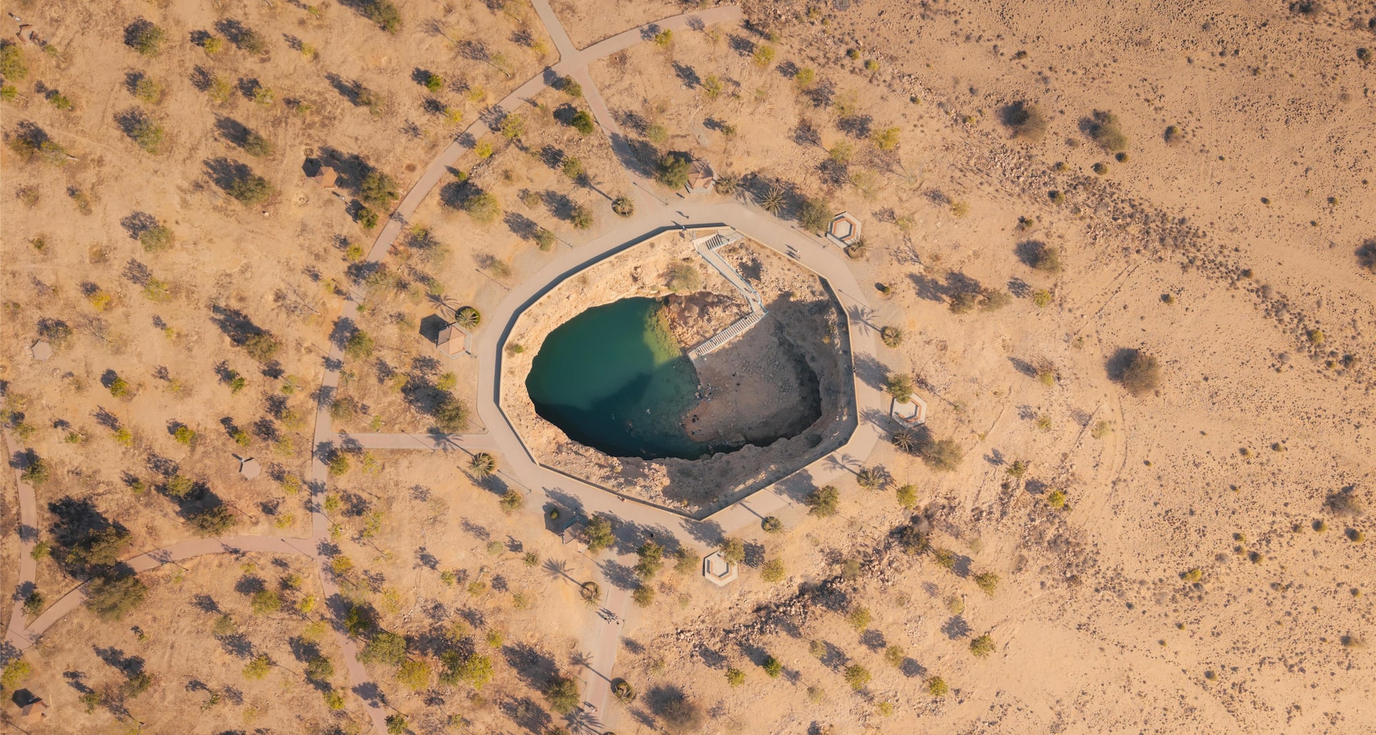 Desert Oasis