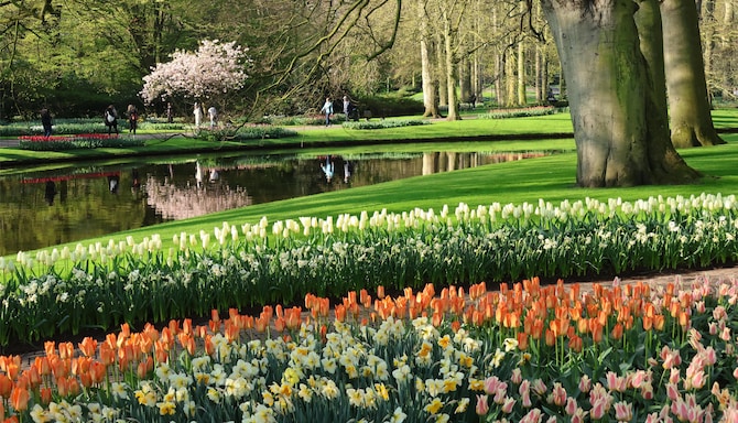 Activation Content B2C - VOL.012 - Activation_Content_B2C-1460471_CSO_Summer_Sale_B2C_2025-Country_Inn_and_Suites_by_Radisson, Park_Inn, Prizeotel, Radisson, Radisson_Blu, Radisson_Collection, Radisson_Hotel_Group, Radisson_Hotels, Radisson_Individuals, Radisson_RED, Radisson_Rewards-Web_Module-Other-NA-NOBLX-Leisure