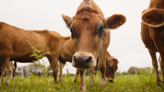 Activation Content B2C - VOL.013 - Activation_Content_B2C_Radisson_Hotels_Radisson_Blu_1920x1080_EN_UKI_General