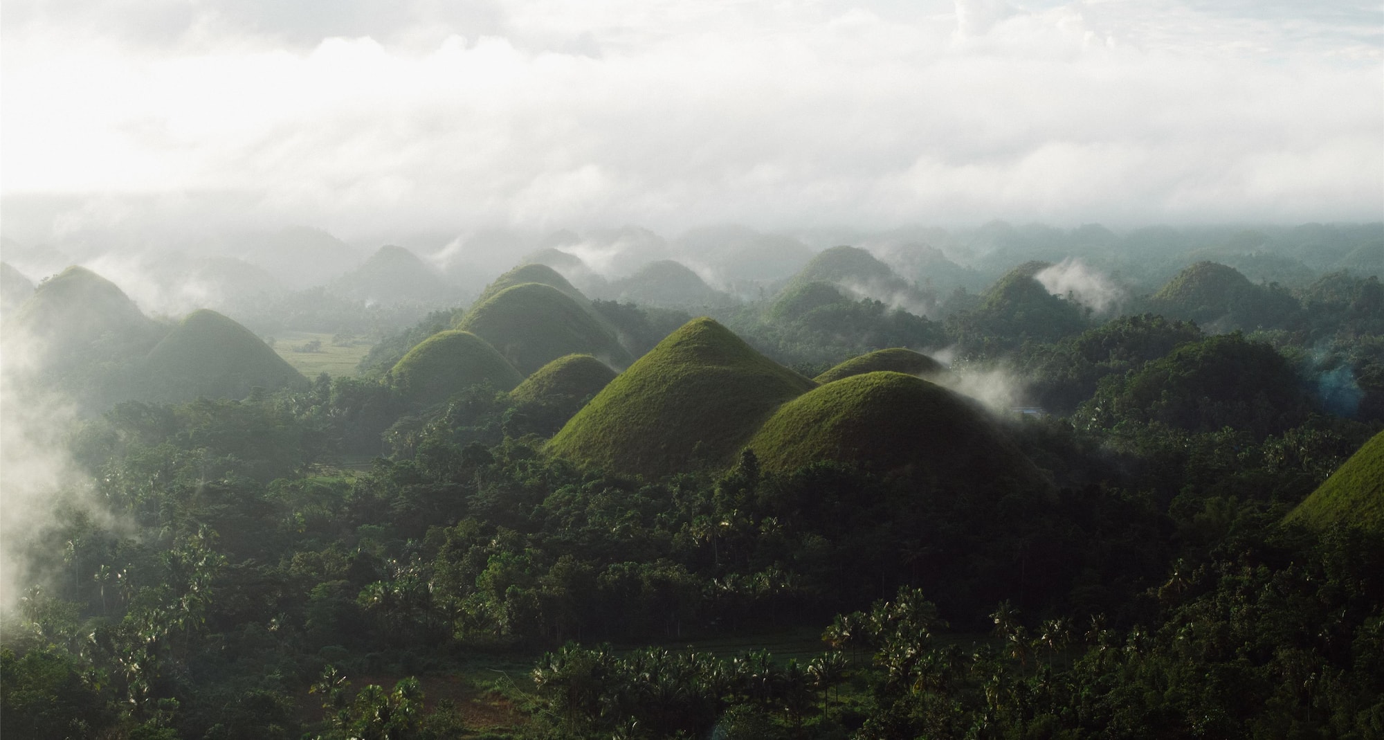 Chocolate Hills