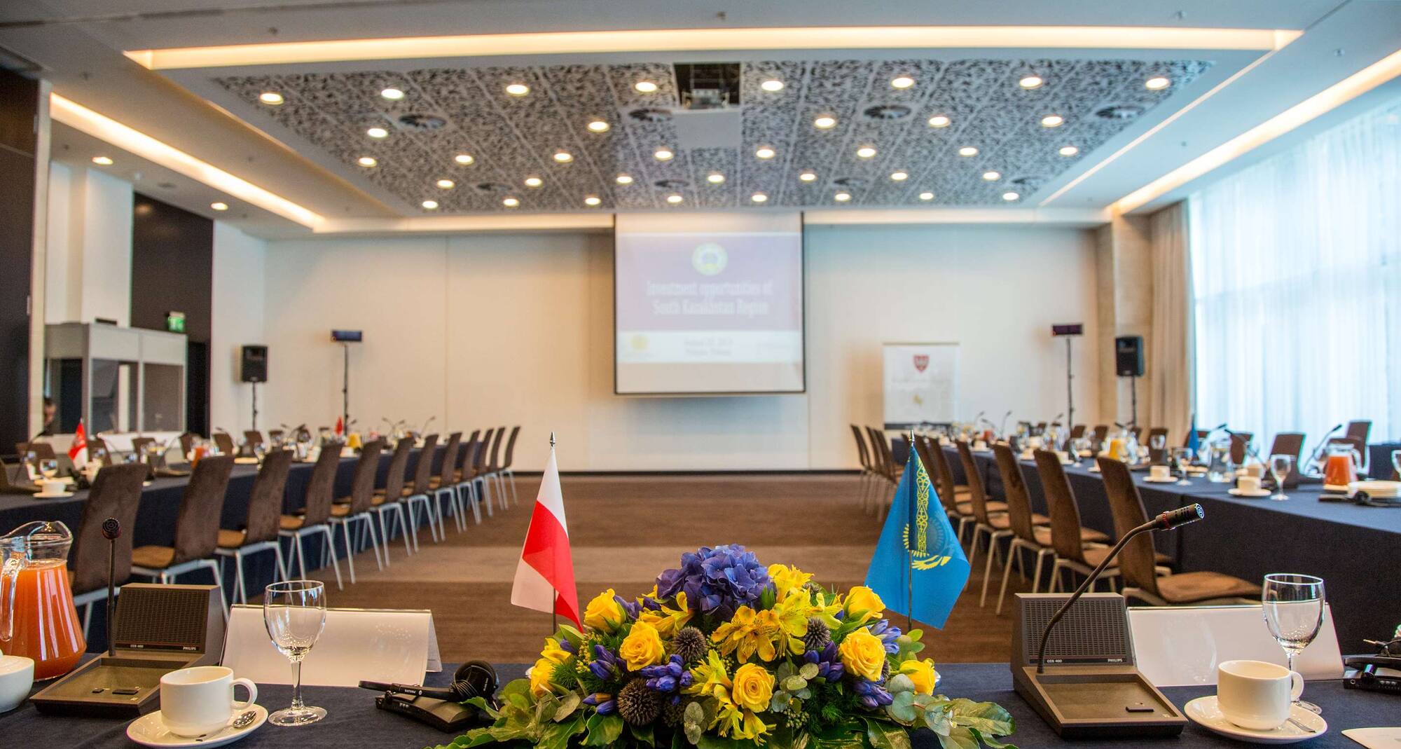 Andersia Hotel & Spa Poznan, a member of Radisson Individuals - Conference