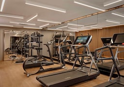 art'otel Zagreb - Gym