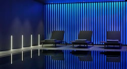 art'otel Zagreb - Spa Swimming Pool Detail