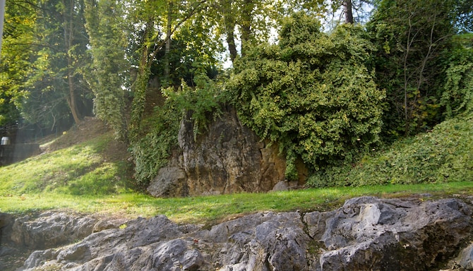 Blau Gran Hotel Las Caldas, a member of Radisson Individuals - Premium Room – Nature View