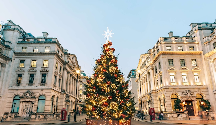 Blog images - 2023 - Where to go in December Decorated Christmas Tree hero