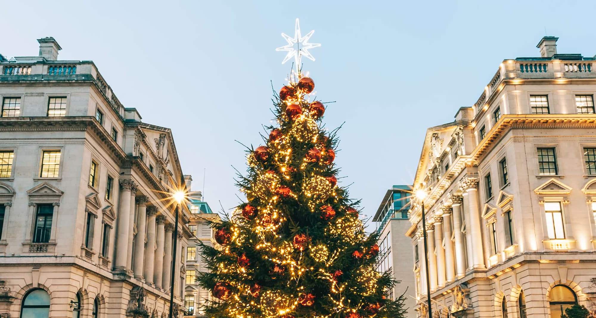 Blog images - 2023 - Where to go in December Decorated Christmas Tree hero