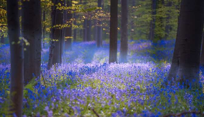 Where to go in April: What’s on your bucket list?