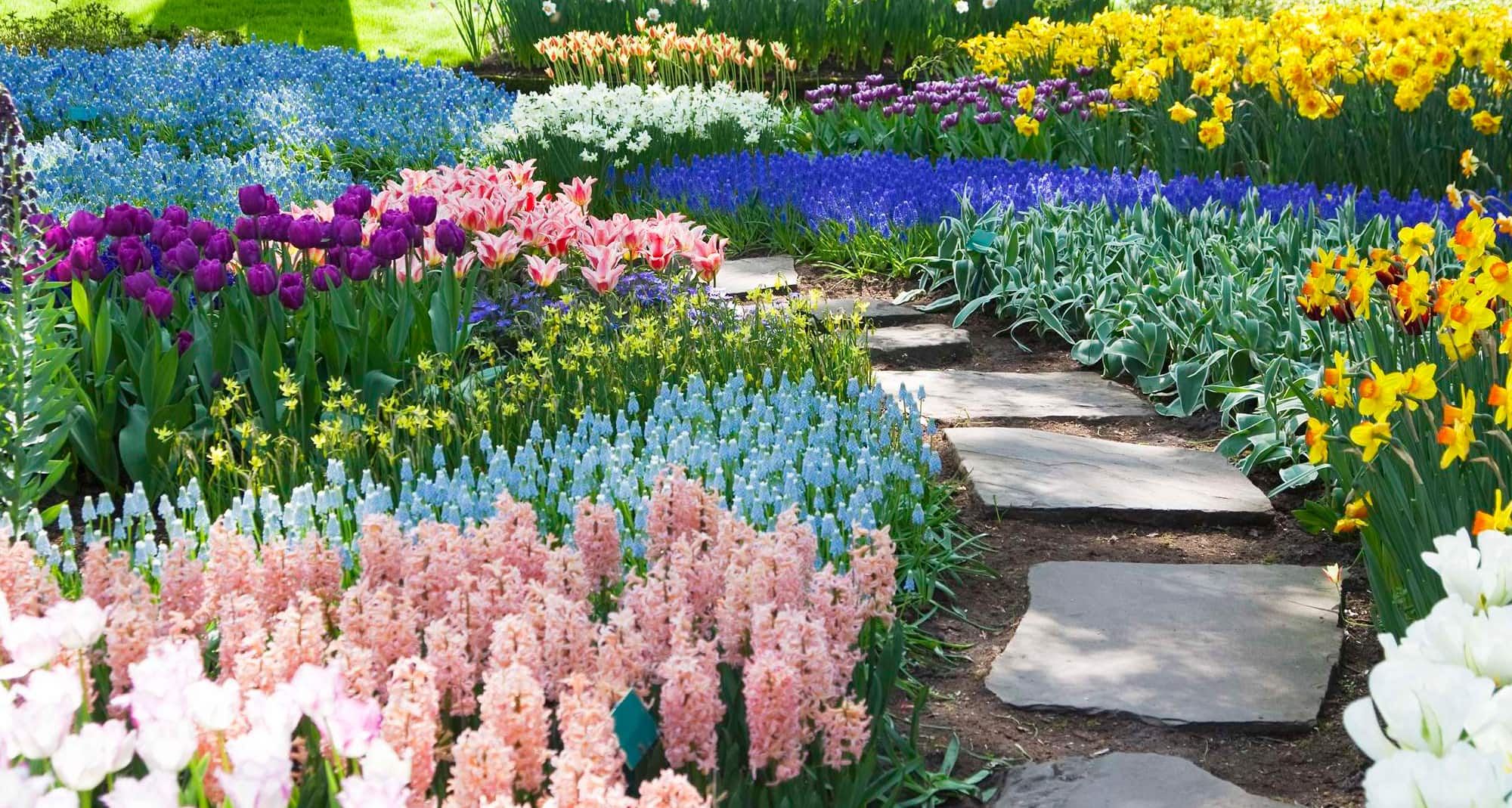 Blog images - Where to go in April: What’s on your bucket list? - keukenhof
