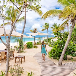 Blog images - Uncover the Natural and Cultural Jewels of Sri Lanka - destination