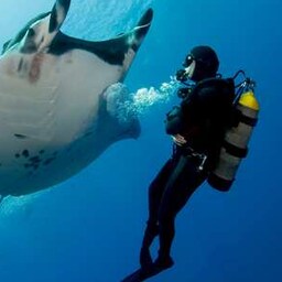 Blog images - 2024 - blog img