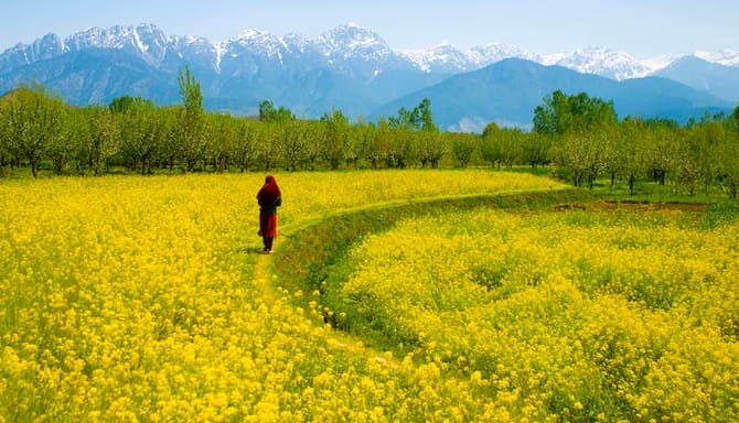 Blog images - 2024 - Unveiling Paradise Exploring the Beauty of Jammu and Kashmir Pahalgam valley