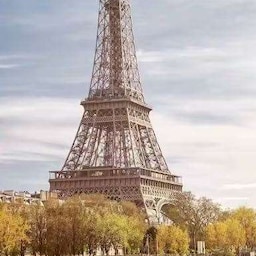 Blog images - 2024 - p relatedblog