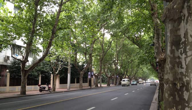 Blog images - 2024 - How to Spend a Day in Shanghais Old French Concession Old French Concession