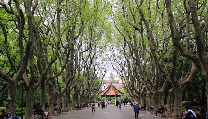 Blog images - 2024 - How to Spend a Day in Shanghais Old French Concession park