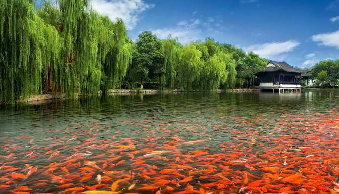 Blog images - 2024 - The Best Day Trips from Shanghai Zhouzhuang