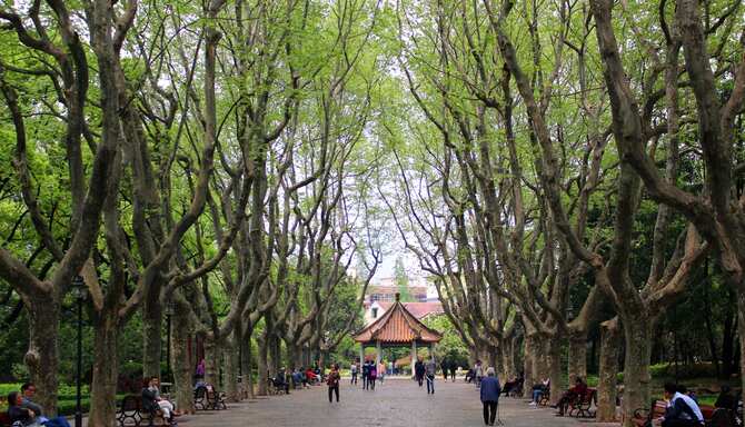 Blog images - 2024 - Discover Shanghai Top Experiences for Your Visit Experiences park