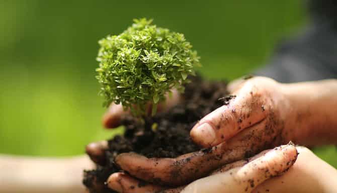 Blog images - 2024 - Top sustainable cities for meetings and events Meetings BRUZT Action Month