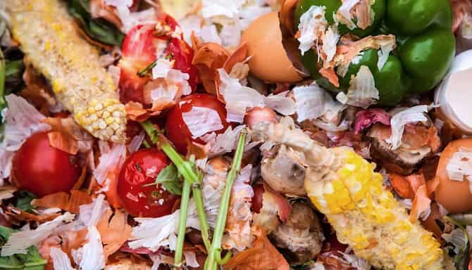 Blog images - 2024 - Sustainable Event Planning for Assistants Meetings compost