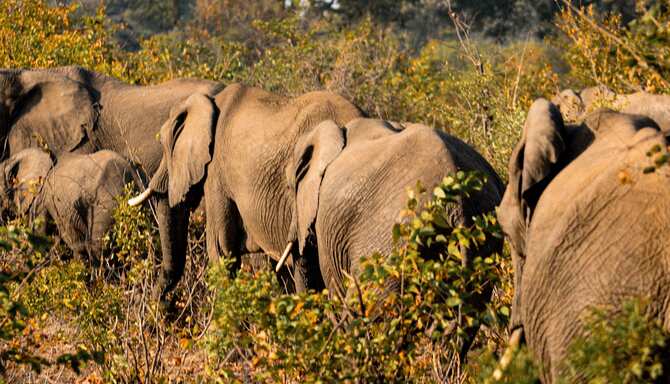 Blog images - 2024 - Adventures in Zambia Livingstone and Victoria Falls travel guide Destination DSC