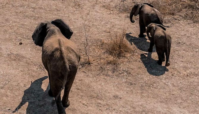 Blog images - 2024 - Adventures in Zambia Livingstone and Victoria Falls travel guide Destination DJI